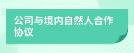 公司與境內(nèi)自然人合作協(xié)議