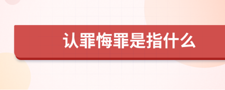 認(rèn)罪悔罪是指什么