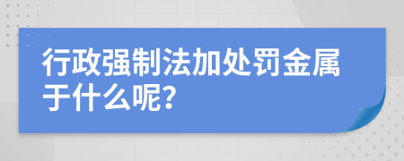 行政強(qiáng)制法加處罰金屬于什么呢？