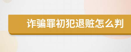 詐騙罪初犯退贓怎么判