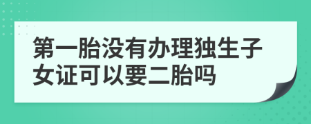 第一胎沒有辦理獨生子女證可以要二胎嗎