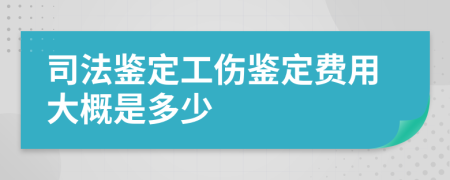 司法鑒定工傷鑒定費(fèi)用大概是多少