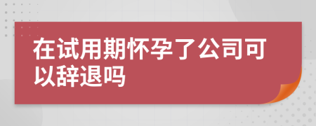 在試用期懷孕了公司可以辭退嗎