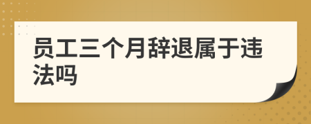 員工三個(gè)月辭退屬于違法嗎