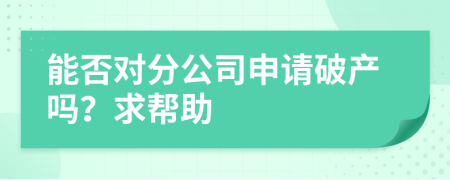 能否對分公司申請破產(chǎn)嗎？求幫助