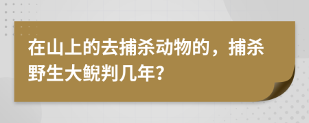 在山上的去捕殺動(dòng)物的，捕殺野生大鯢判幾年？