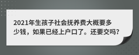 2021年生孩子社會(huì)撫養(yǎng)費(fèi)大概要多少錢，如果已經(jīng)上戶口了。還要交嗎？