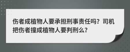 傷者成植物人要承擔刑事責任嗎？司機把傷者撞成植物人要判刑么？