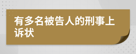 有多名被告人的刑事上訴狀