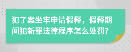 犯了案坐牢申請(qǐng)假釋，假釋期間犯新罪法律程序怎么處罰？