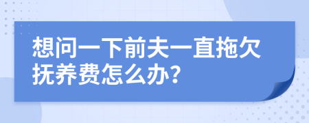 想問一下前夫一直拖欠撫養(yǎng)費怎么辦？