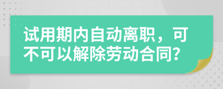 試用期內(nèi)自動(dòng)離職，可不可以解除勞動(dòng)合同？