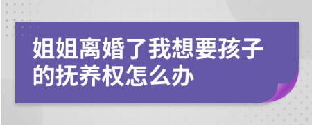 姐姐離婚了我想要孩子的撫養(yǎng)權(quán)怎么辦
