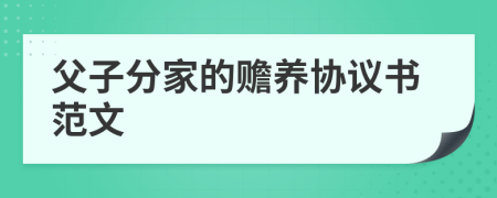 父子分家的贍養(yǎng)協(xié)議書范文