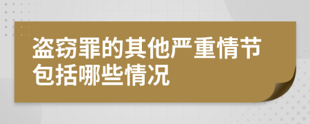 盜竊罪的其他嚴重情節(jié)包括哪些情況