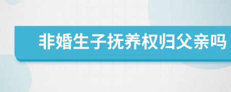 非婚生子撫養(yǎng)權(quán)歸父親嗎