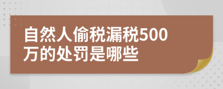 自然人偷稅漏稅500萬(wàn)的處罰是哪些