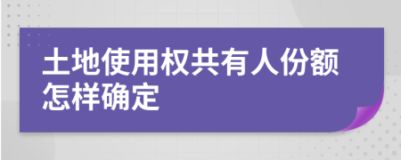 土地使用權(quán)共有人份額怎樣確定