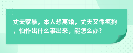 丈夫家暴，本人想離婚，丈夫又像瘋狗，怕作出什么事出來，能怎么辦?