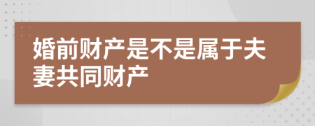 婚前財(cái)產(chǎn)是不是屬于夫妻共同財(cái)產(chǎn)	