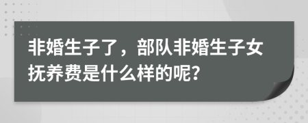非婚生子了，部隊非婚生子女撫養(yǎng)費是什么樣的呢？