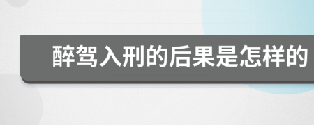 醉駕入刑的后果是怎樣的