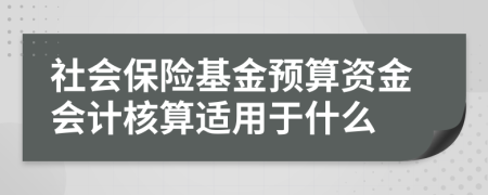 社會(huì)保險(xiǎn)基金預(yù)算資金會(huì)計(jì)核算適用于什么