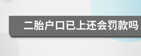 二胎戶口已上還會罰款嗎