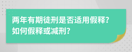 兩年有期徒刑是否適用假釋？如何假釋或減刑？