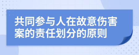 共同參與人在故意傷害案的責(zé)任劃分的原則