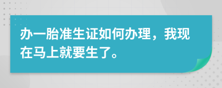 辦一胎準(zhǔn)生證如何辦理，我現(xiàn)在馬上就要生了。