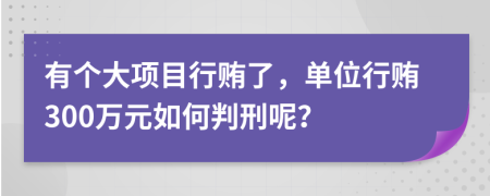 有個大項目行賄了，單位行賄300萬元如何判刑呢？