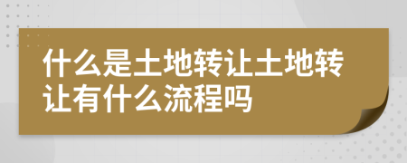 什么是土地轉(zhuǎn)讓土地轉(zhuǎn)讓有什么流程嗎
