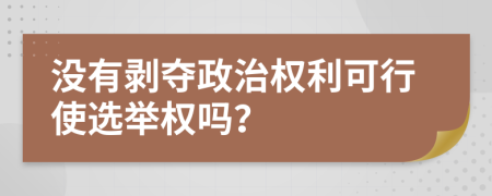 沒(méi)有剝奪政治權(quán)利可行使選舉權(quán)嗎？