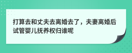 打算去和丈夫去離婚去了，夫妻離婚后試管嬰兒撫養(yǎng)權(quán)歸誰(shuí)呢