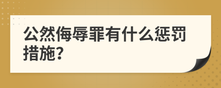 公然侮辱罪有什么懲罰措施？