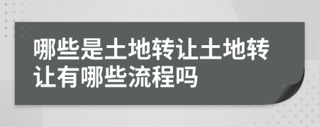 哪些是土地轉(zhuǎn)讓土地轉(zhuǎn)讓有哪些流程嗎