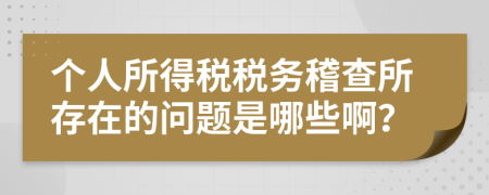 個(gè)人所得稅稅務(wù)稽查所存在的問題是哪些??？