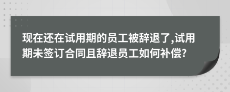 現(xiàn)在還在試用期的員工被辭退了,試用期未簽訂合同且辭退員工如何補(bǔ)償?
