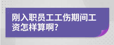 剛?cè)肼殕T工工傷期間工資怎樣算啊?