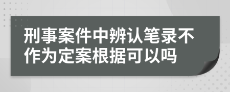 刑事案件中辨認(rèn)筆錄不作為定案根據(jù)可以嗎