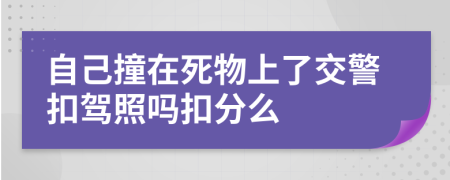 自己撞在死物上了交警扣駕照嗎扣分么