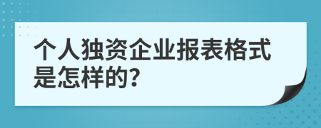 個(gè)人獨(dú)資企業(yè)報(bào)表格式是怎樣的？
