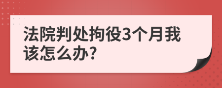 法院判處拘役3個月我該怎么辦?
