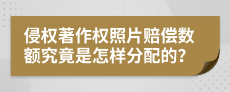 侵權(quán)著作權(quán)照片賠償數(shù)額究竟是怎樣分配的？