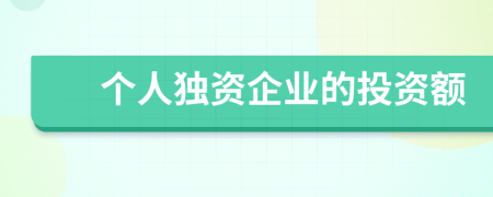 個(gè)人獨(dú)資企業(yè)的投資額