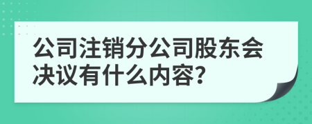 公司注銷分公司股東會決議有什么內(nèi)容？