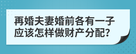 再婚夫妻婚前各有一子應(yīng)該怎樣做財(cái)產(chǎn)分配？
