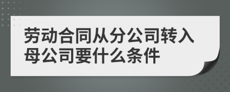 勞動合同從分公司轉(zhuǎn)入母公司要什么條件