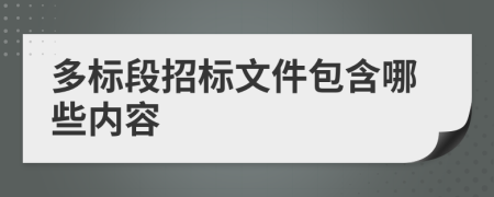 多標(biāo)段招標(biāo)文件包含哪些內(nèi)容